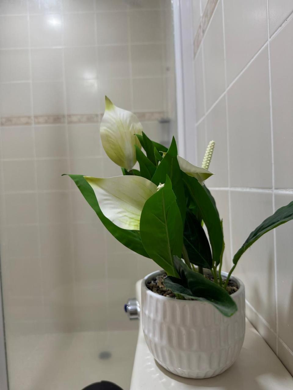 Apartamento Cerca Del Aeropuerto Con Jacuzzi 10 Personas *